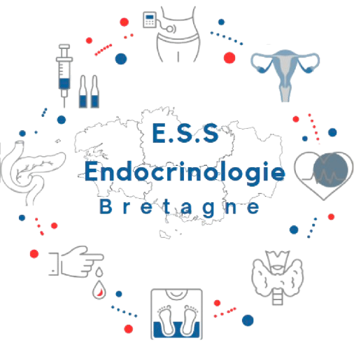 L'ESS Endocrinologie Bretagne, c'est quoi ? 